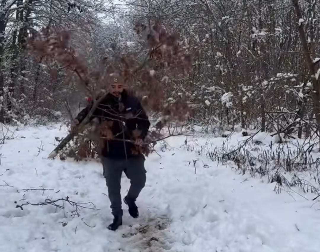 Darko Lazic (2).jpeg