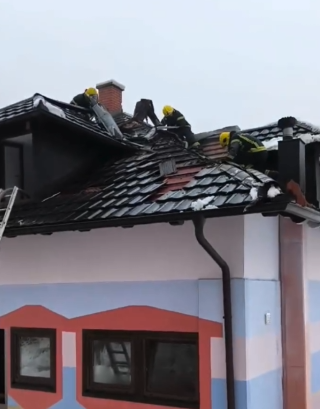 manastir Ribnica  (5).png