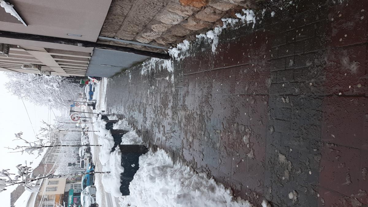 LOZNICA - Kod gradske uprave.jpg