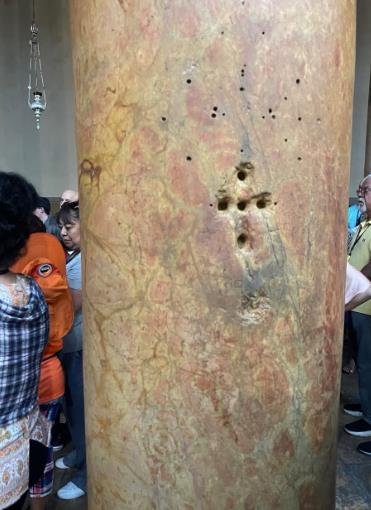 sloboda micalovic 3.png