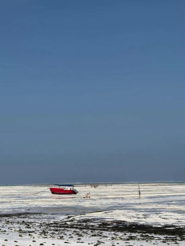 Sergej Trifunović sa Isidorom u Zanzibaru