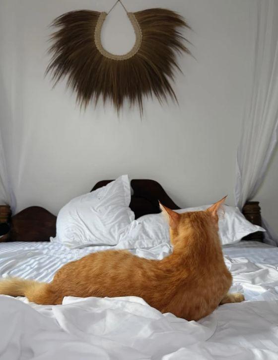 Sergej Trifunović sa Isidorom u Zanzibaru