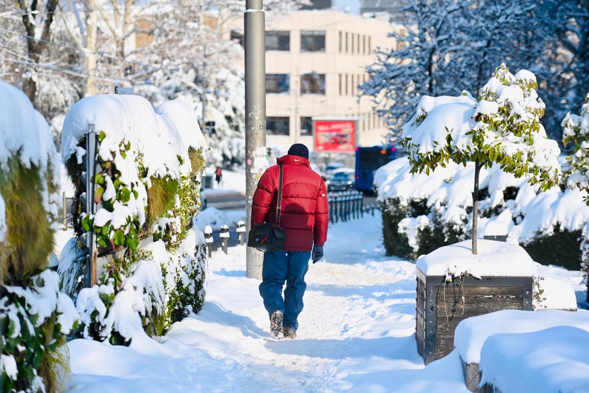Beograd sneg zima