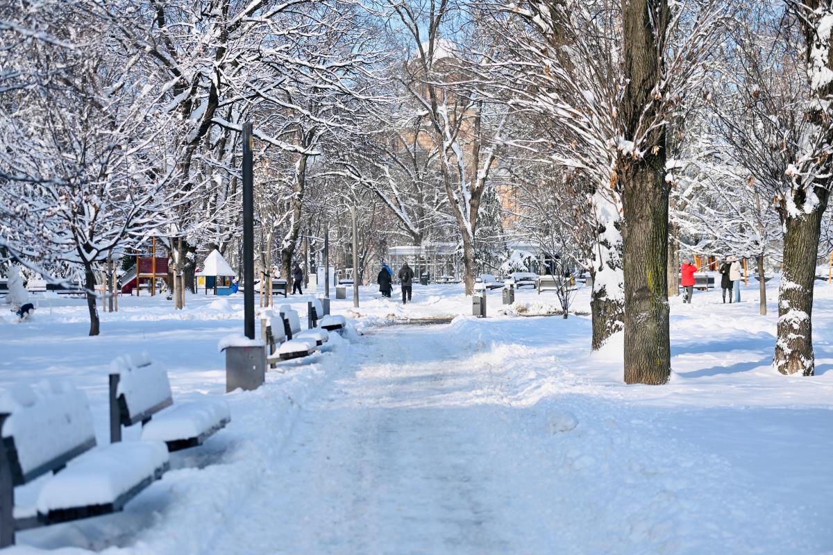 Beograd sneg zima