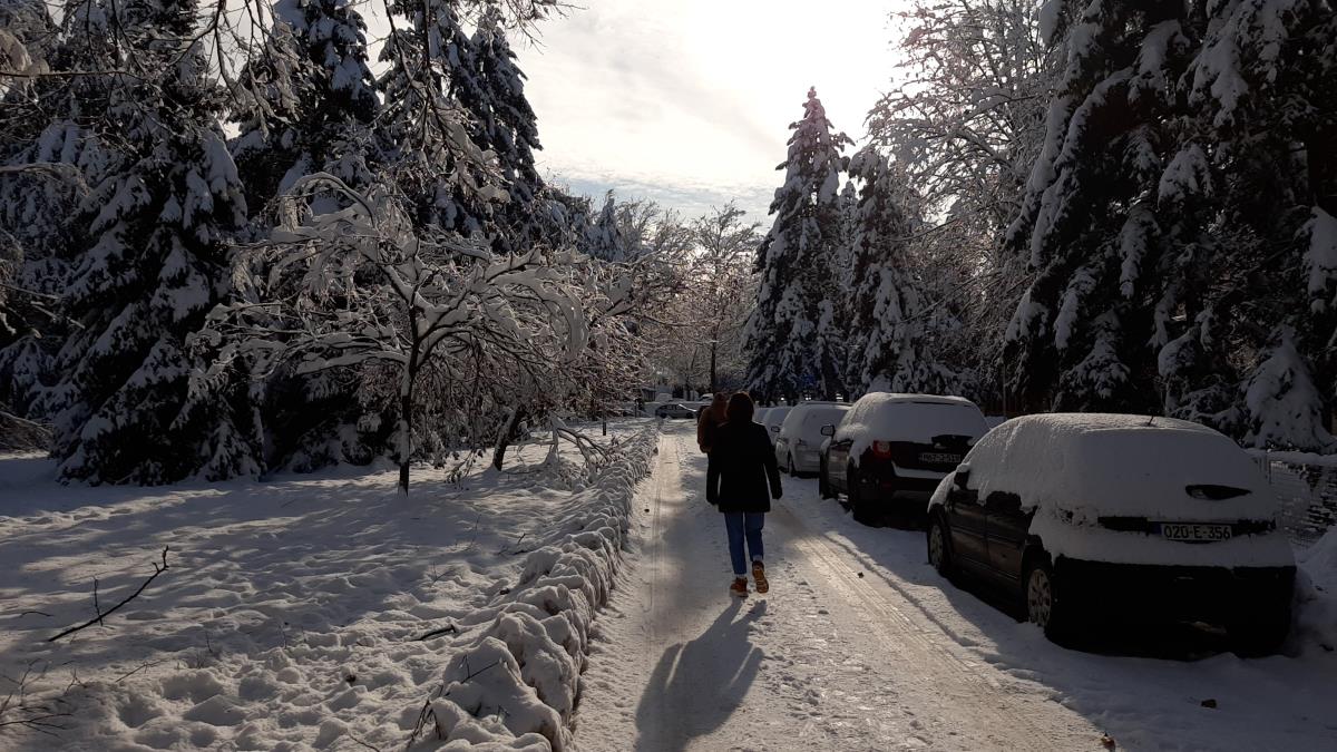 LOZNICA - Pokolovozu.jpg