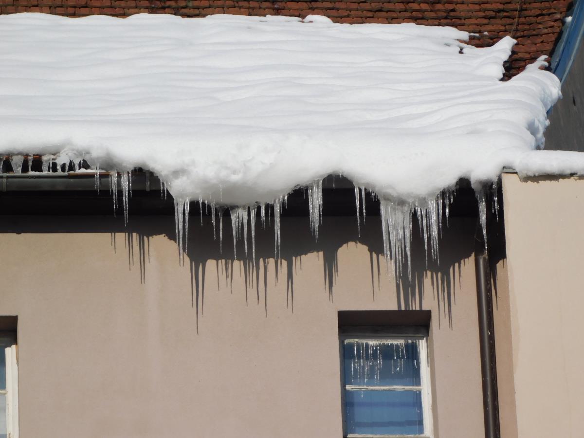 LOZNICA - Ledeni dani.JPG