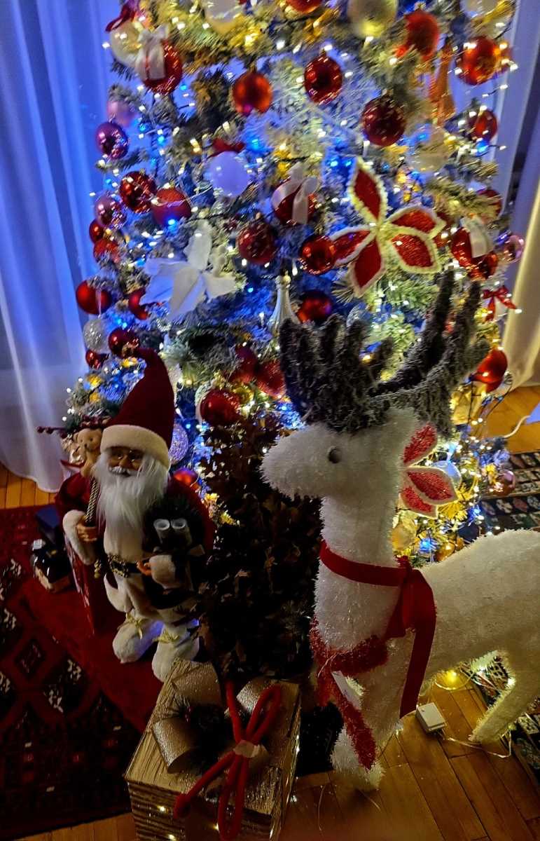 WhatsApp Image 2026-01-08 at 15.21.42.jpeg