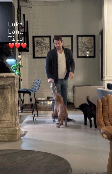 Božić u porodici Vlade Divca