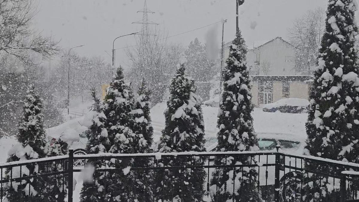 Mećava sneg Zlatibor (6).jpg