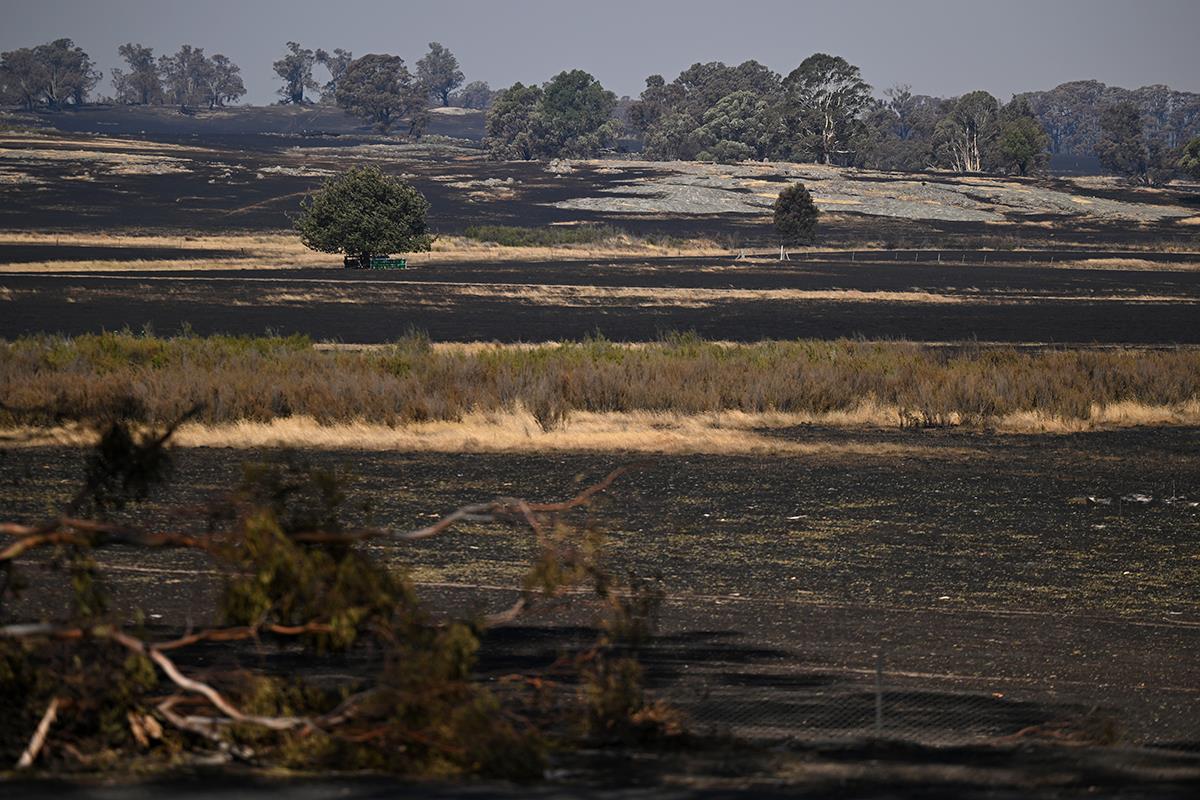 Australija požar (9).jpg