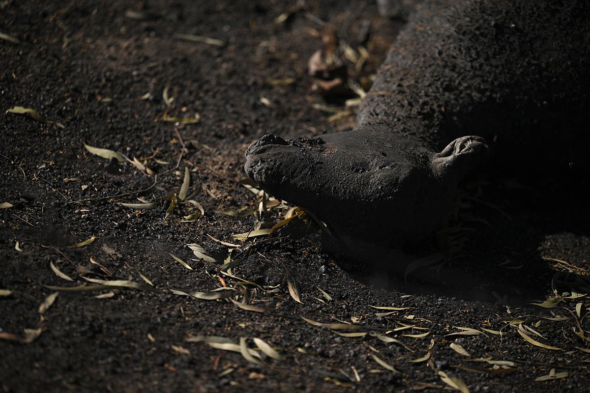 Australija požar (7).jpg