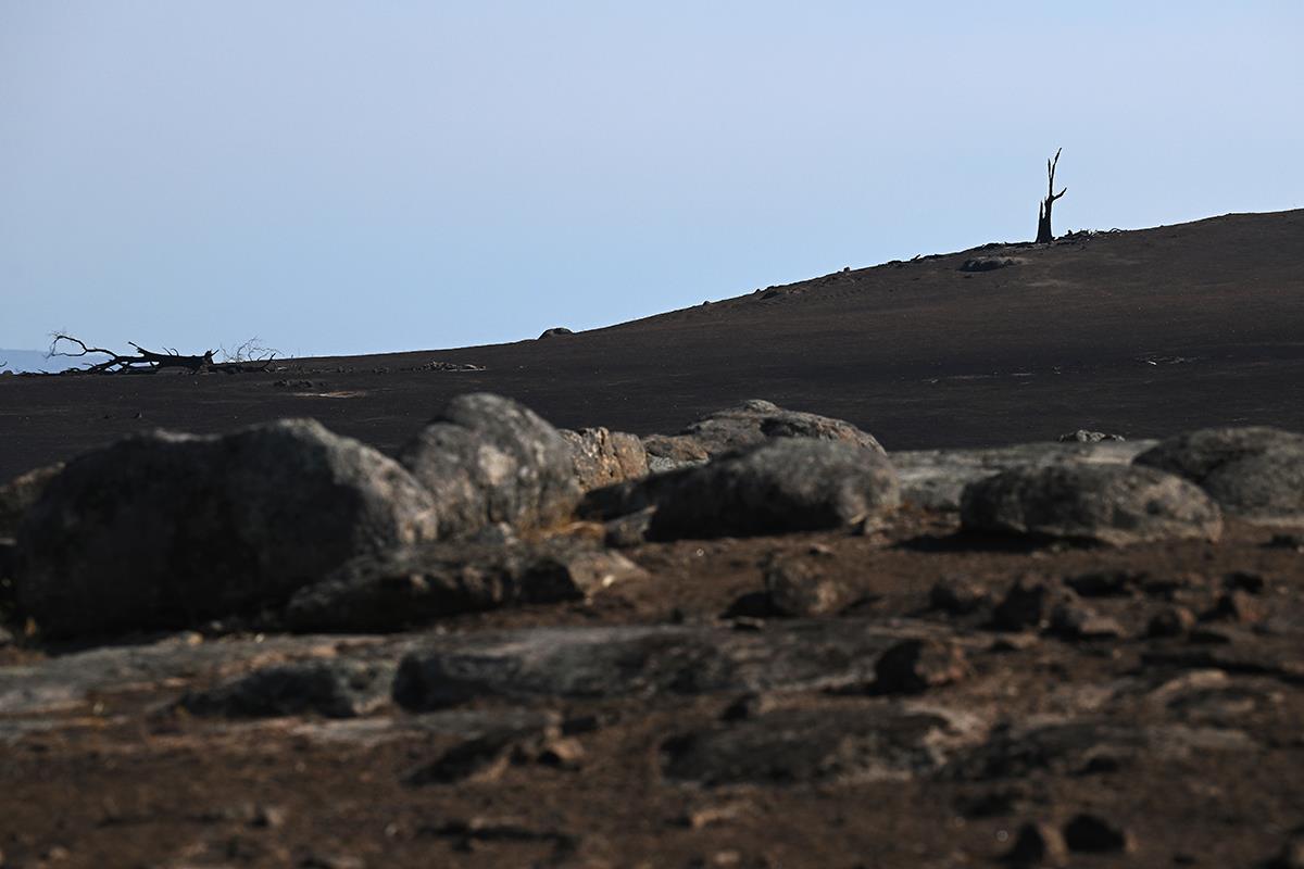 Australija požar (5).jpg