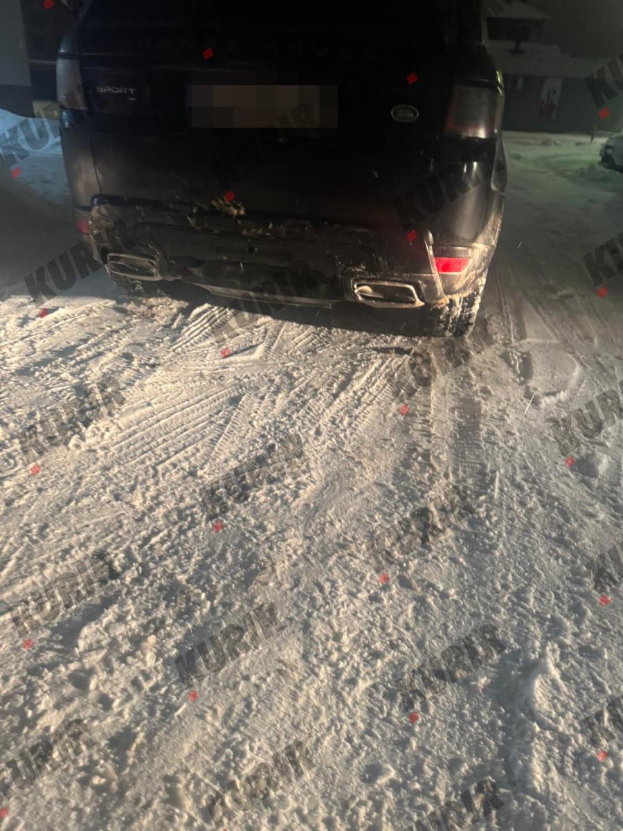 GetOriginalImageById (4).jpeg