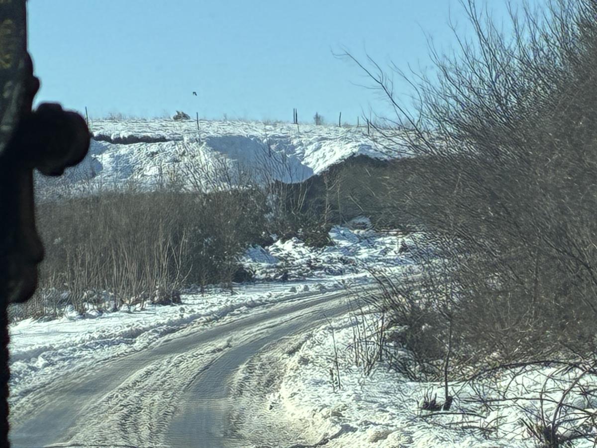 Rodno mesto dečka Mine Kostić