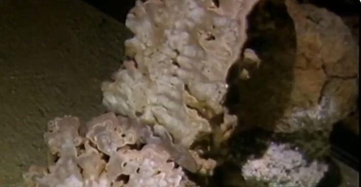 Risovačka pećina - unutrašnjost