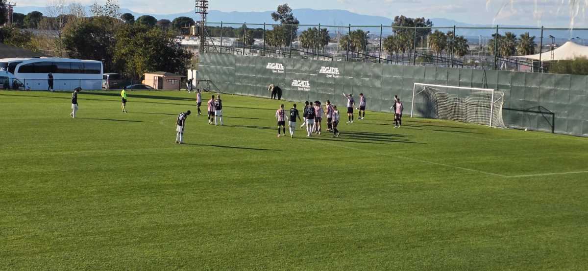 Čukarički Krakovija