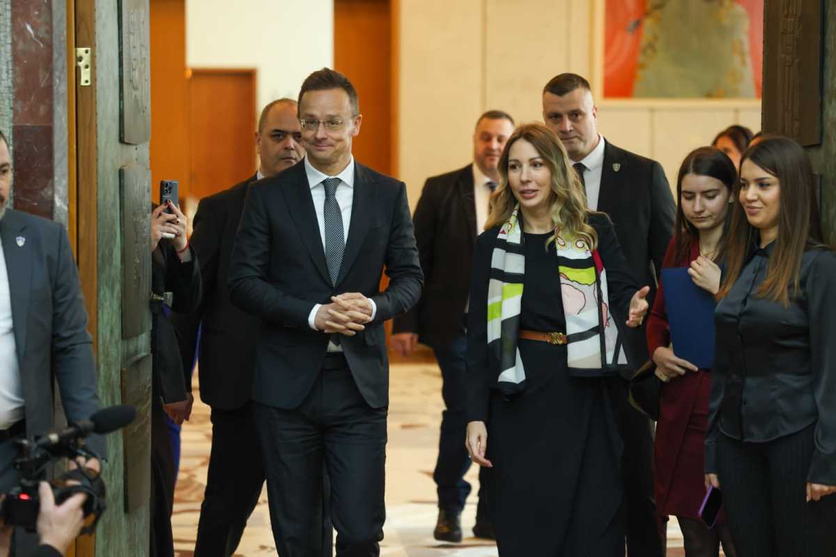 Dubravka Đedović Handanović (6).jpeg