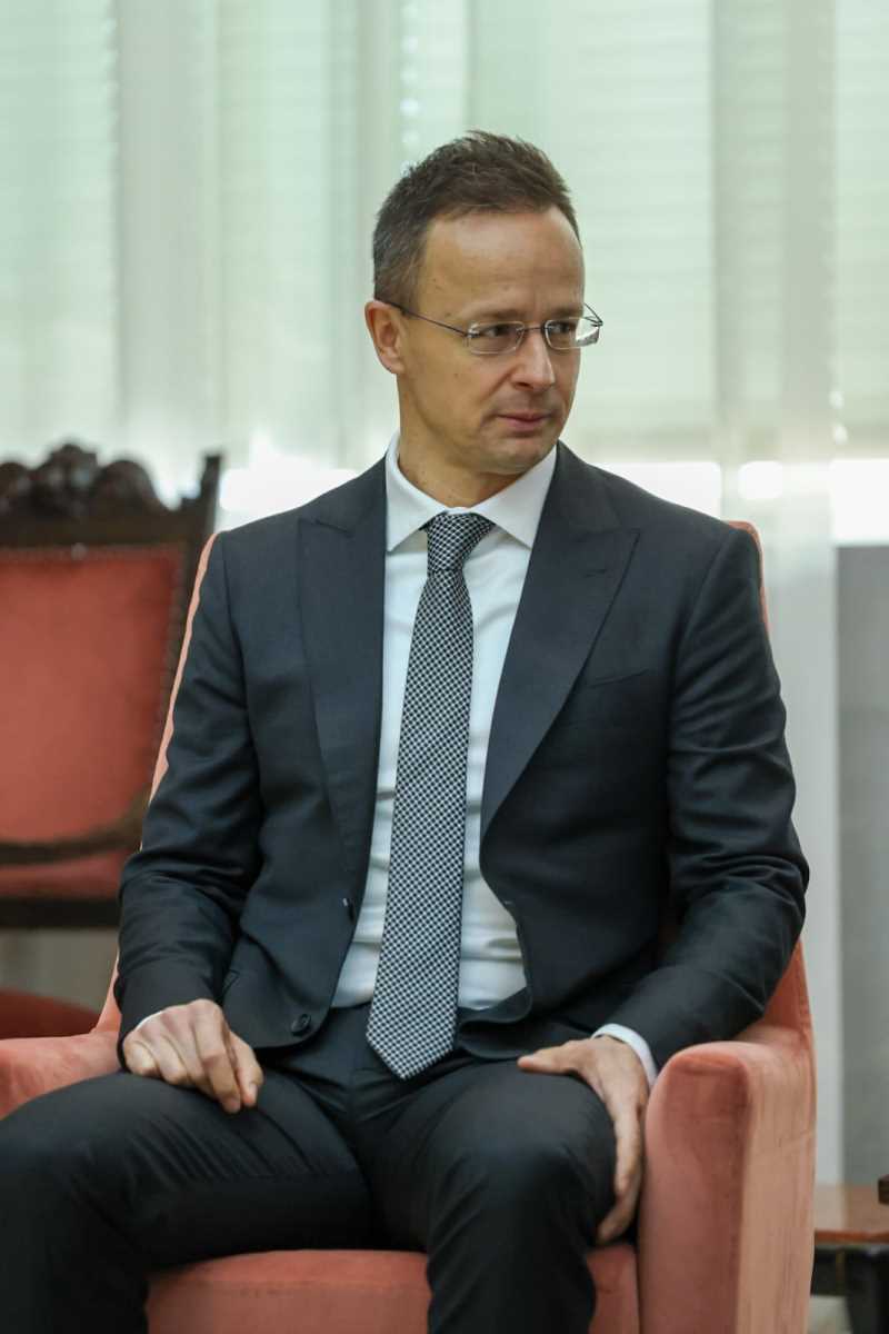 Dubravka Đedović Handanović (8).jpeg