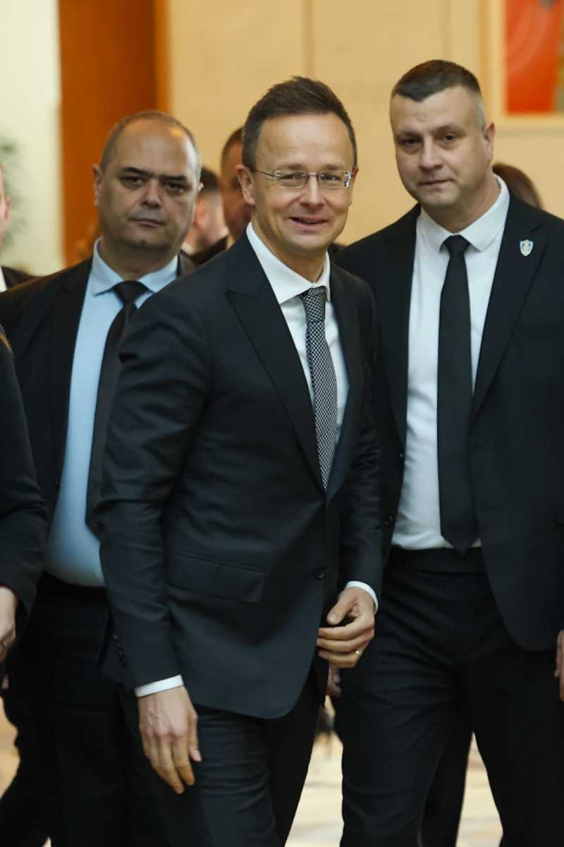 Dubravka Đedović Handanović (10).jpeg