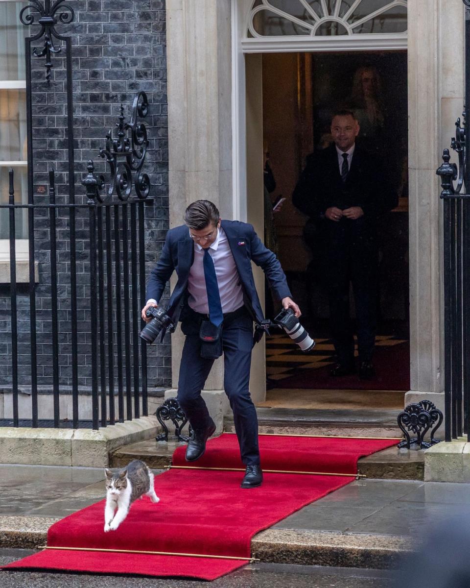 fotograf Navrockog se sapleo zbog mačka Larija ispred Danunig strita 10