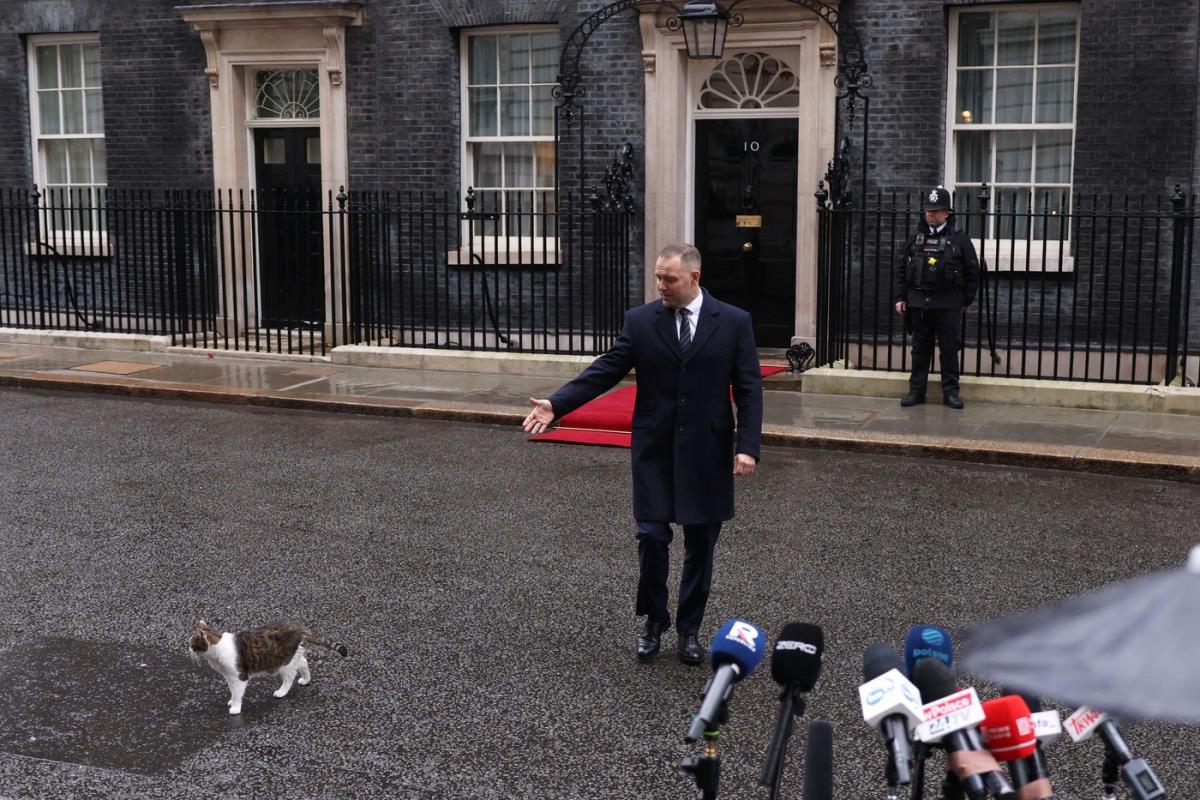 Karol Navrocki mačak Lari Leri Dauning strit