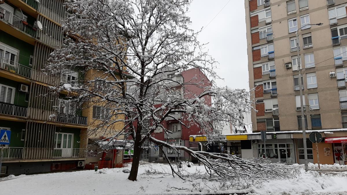 LOZNICA - Težak sneg.jpg