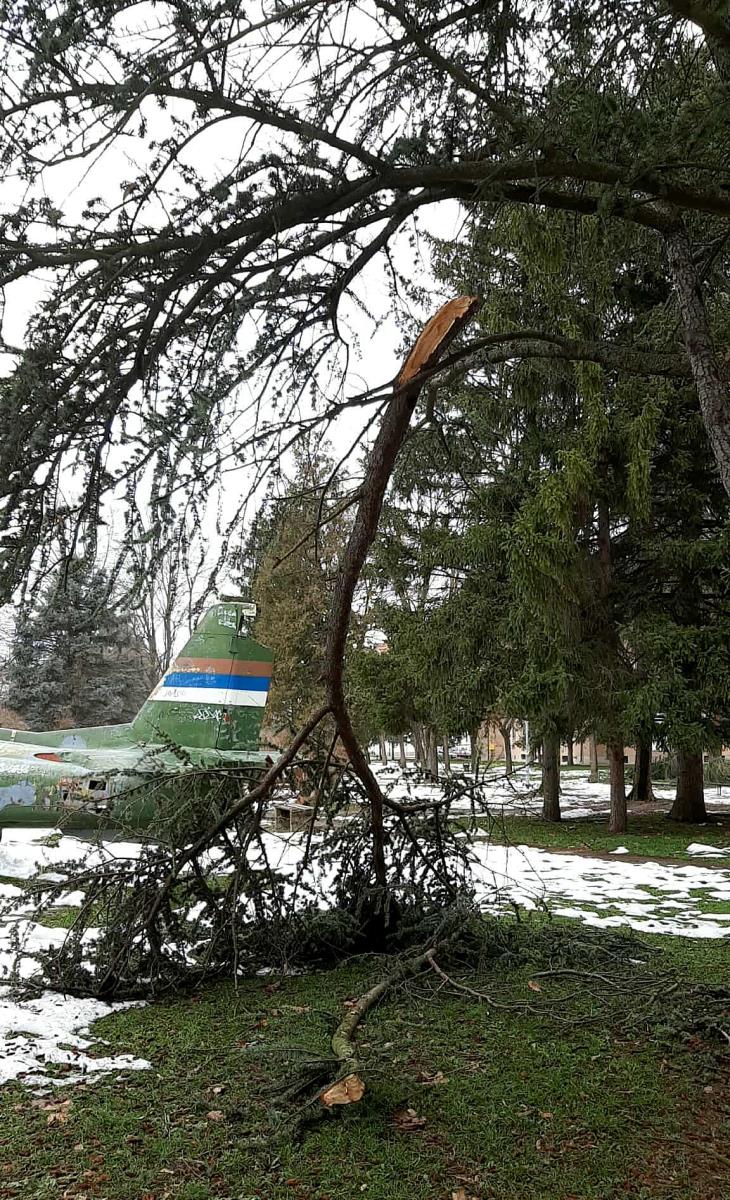 LOZNICA - Slomljena.jpg