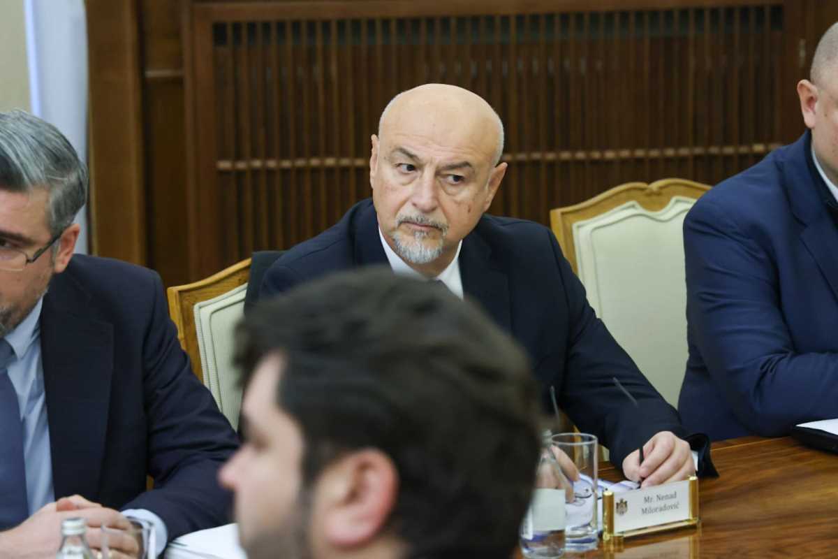 WhatsApp Image 2026-01-16 at 10.19.57 (1).jpeg