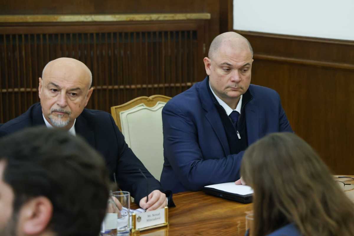 WhatsApp Image 2026-01-16 at 10.19.59 (1).jpeg