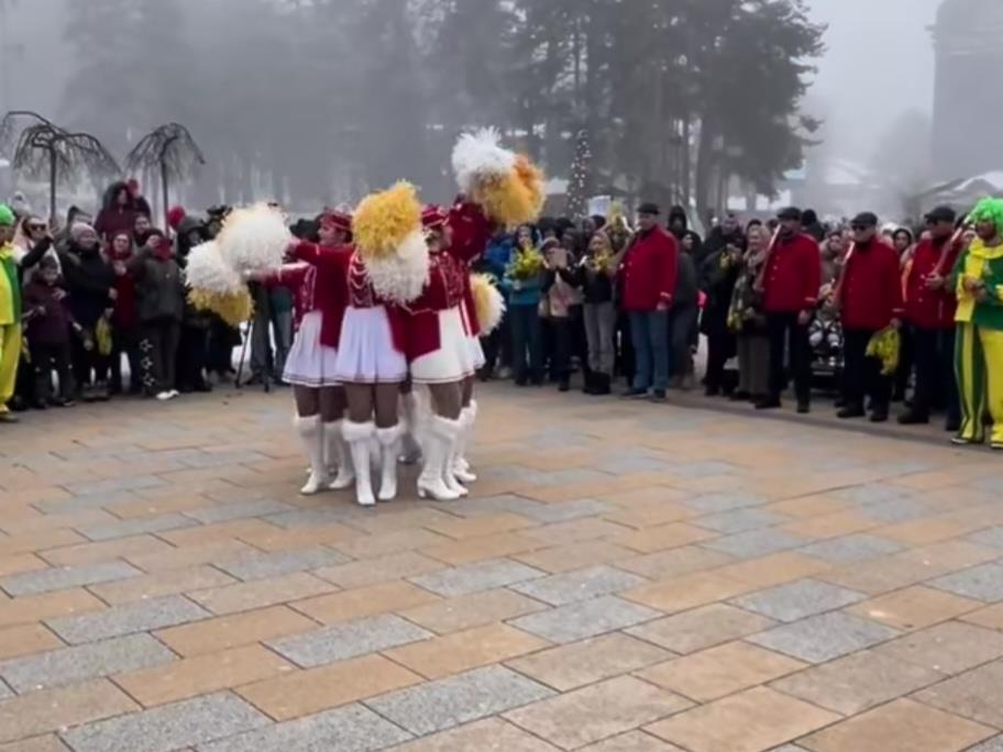 Zlatibor - Praznik mimoze -  (2).jpg