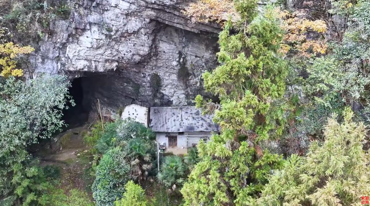 Screenshot 2026-01-18 000536.png