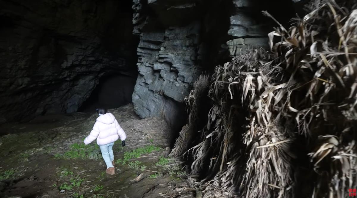 Screenshot 2026-01-18 000753.png