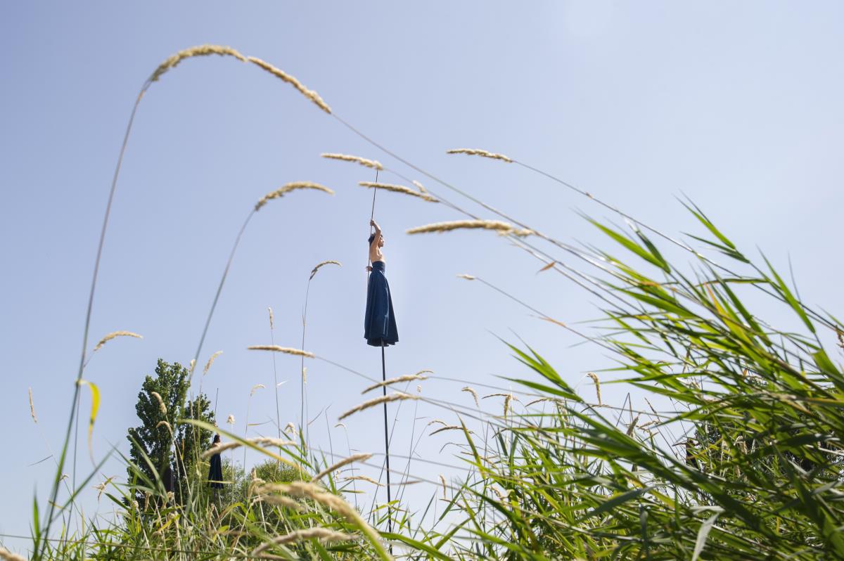 A RoZeO ©Susy Lagrange 3.jpg