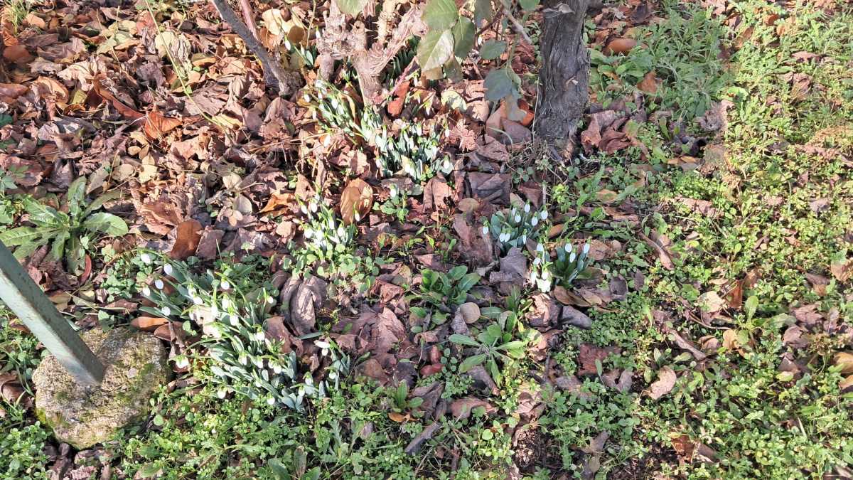 WhatsApp Image 2026-01-18 at 10.32.361.jpeg