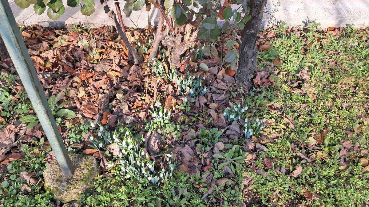 WhatsApp Image 2026-01-18 at 10.32.372.jpeg