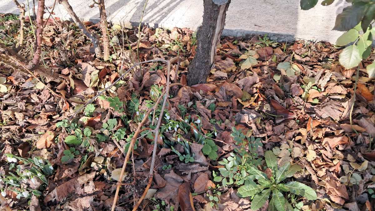 WhatsApp Image 2026-01-18 at 10.32.373.jpeg