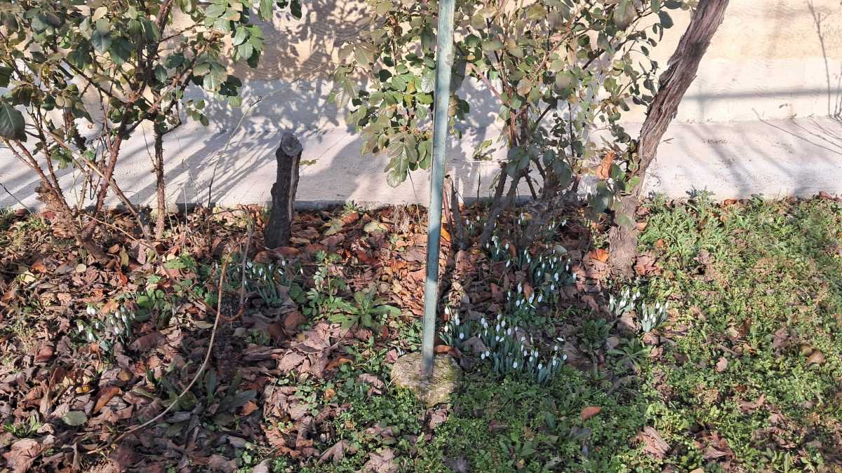 WhatsApp Image 2026-01-18 at 10.32.374.jpeg