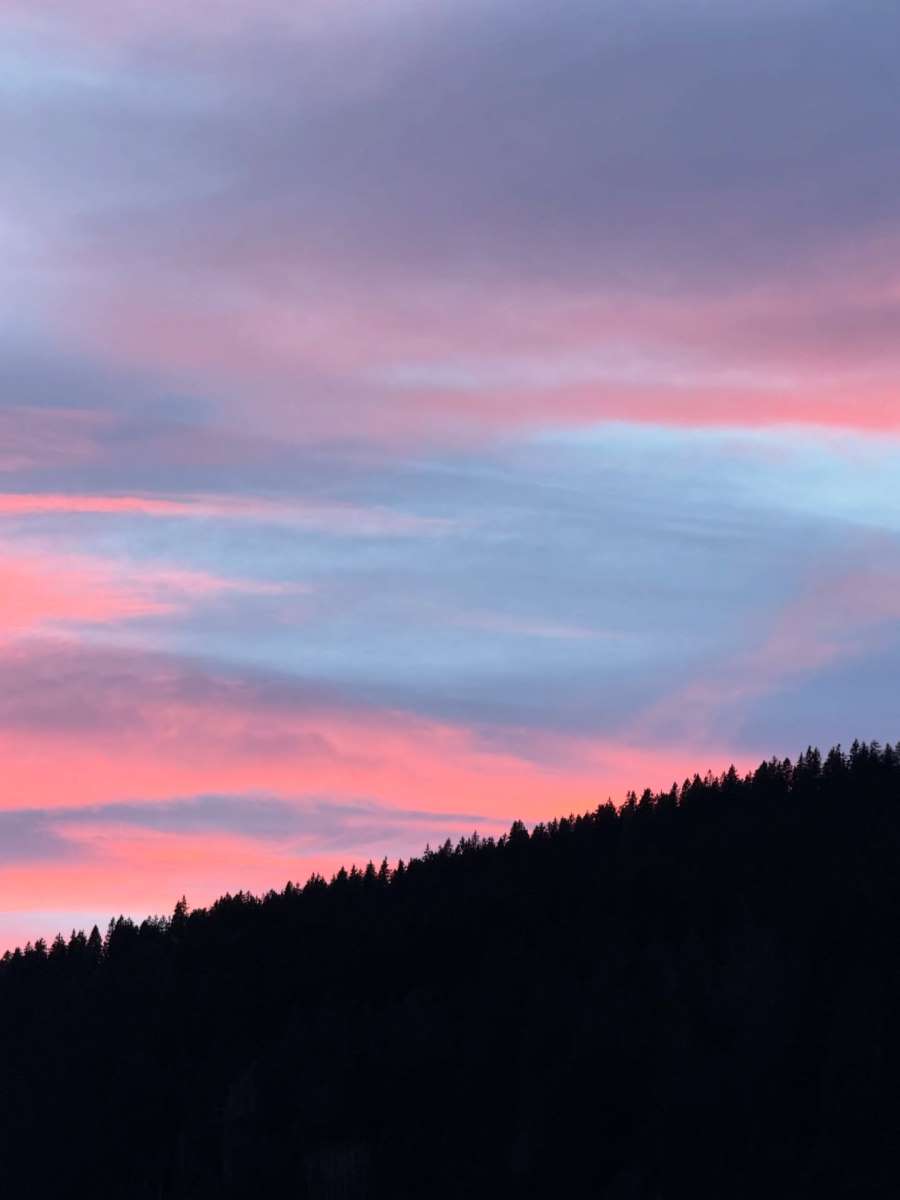 nikolijaofficial_3812956220676763323's2026-1-19-7.59.861 story.jpg