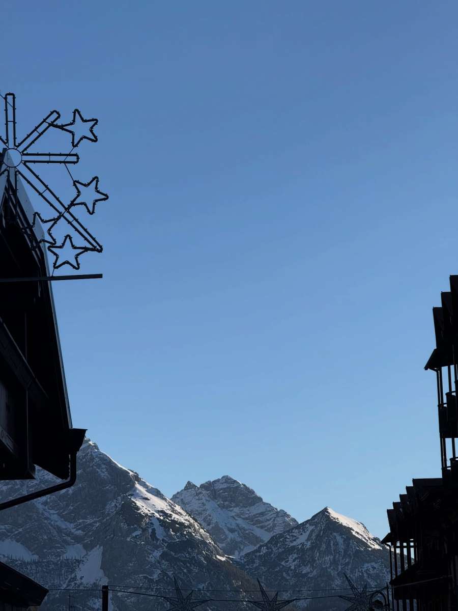 nikolijaofficial_3812956220676764797's2026-1-19-7.59.30 story.jpg