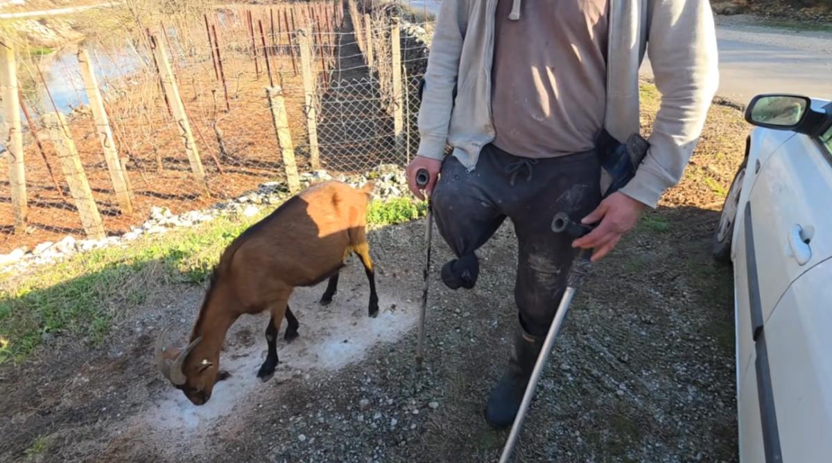Zoran Macan (73) bez jedne noge čuva 150 koza i ne zna za bolest već 20 godina