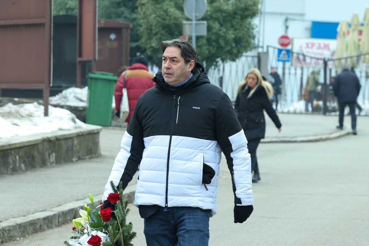 Miroslav Mika Aleksić (2).jpeg