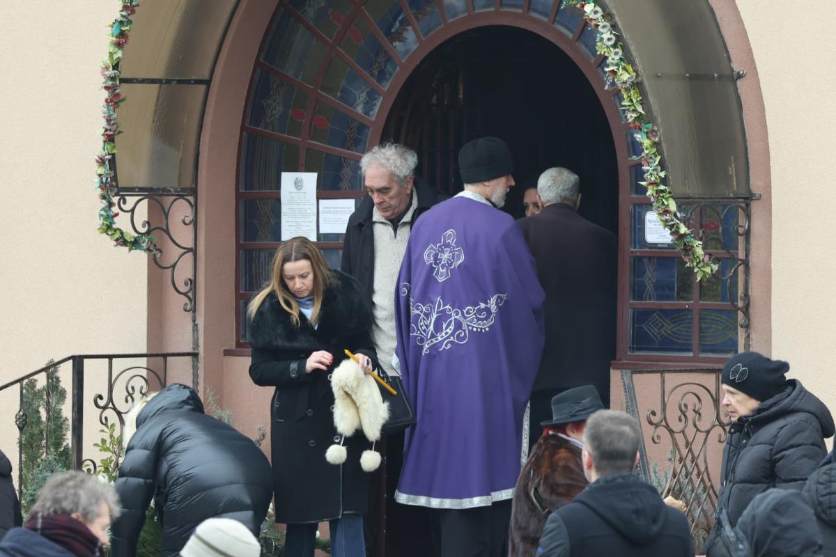 Mika Aleksić (1).jpeg