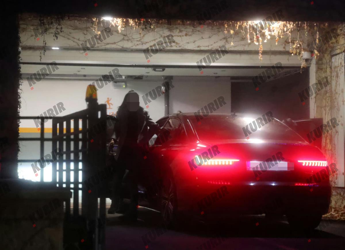 Duko Tošič Jelena Karleuša Kuća (3).jpeg