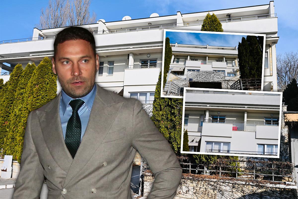 Duško Tošić kuća