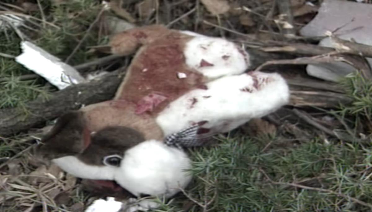 Screenshot 2026-01-23 173316.jpg