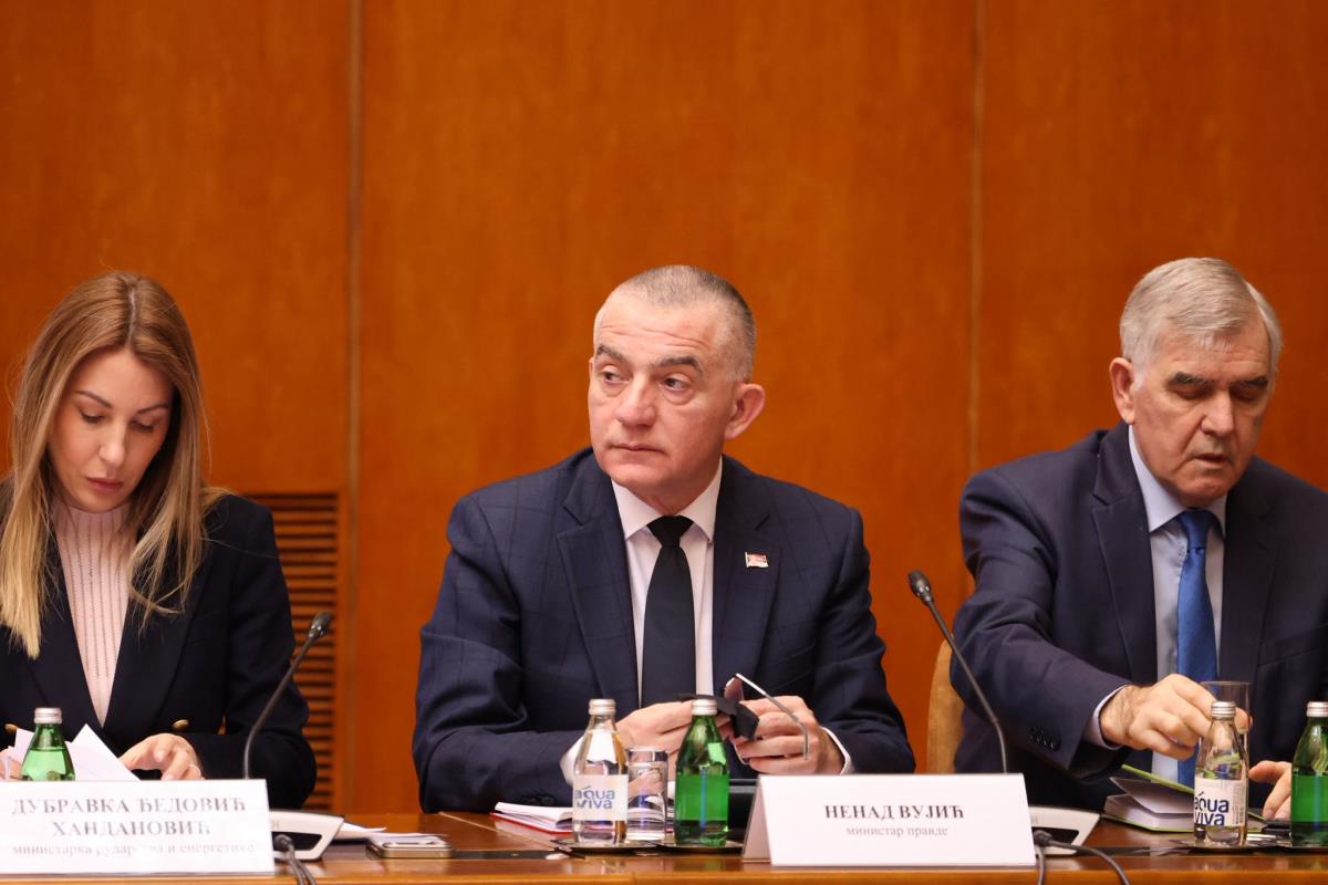 tematska sednica Vlade Aleksandar Vučić (47).jpeg