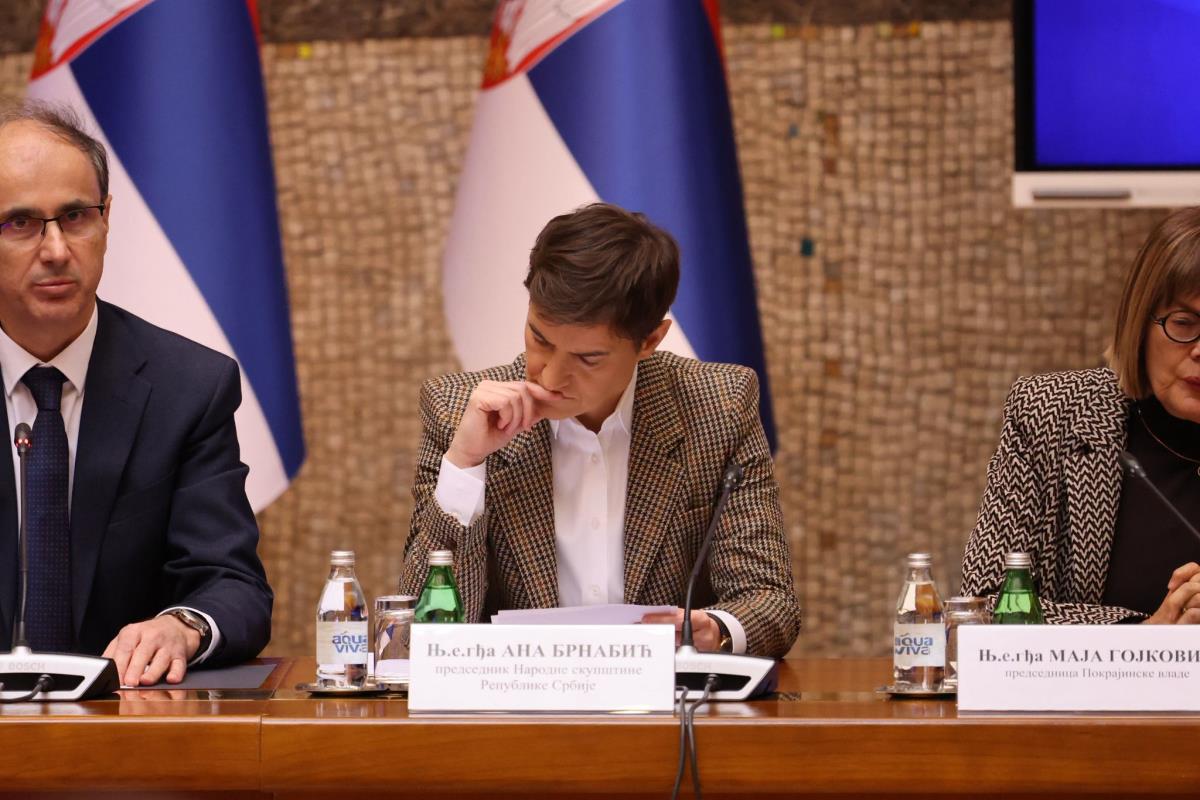 tematska sednica Vlade Aleksandar Vučić (44).jpeg