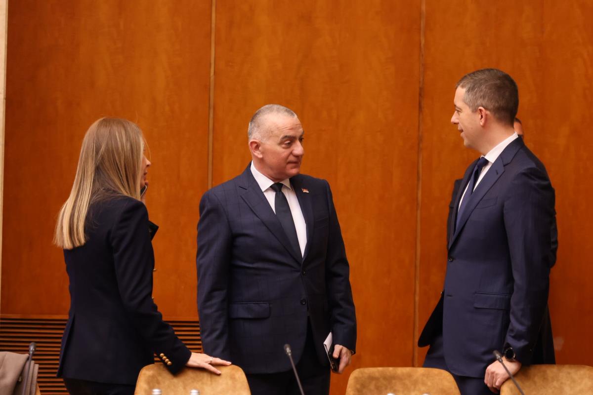 tematska sednica Vlade Aleksandar Vučić (27).jpeg