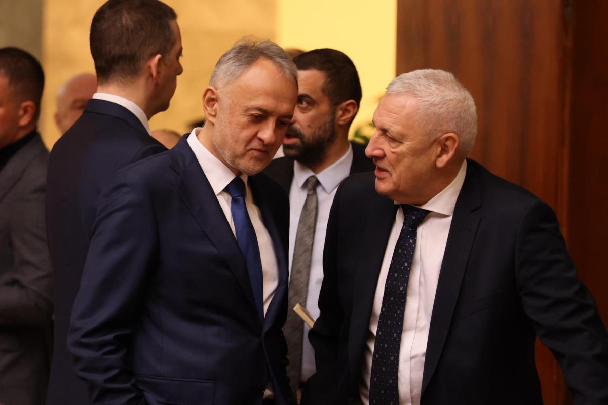 tematska sednica Vlade Aleksandar Vučić (13).jpeg