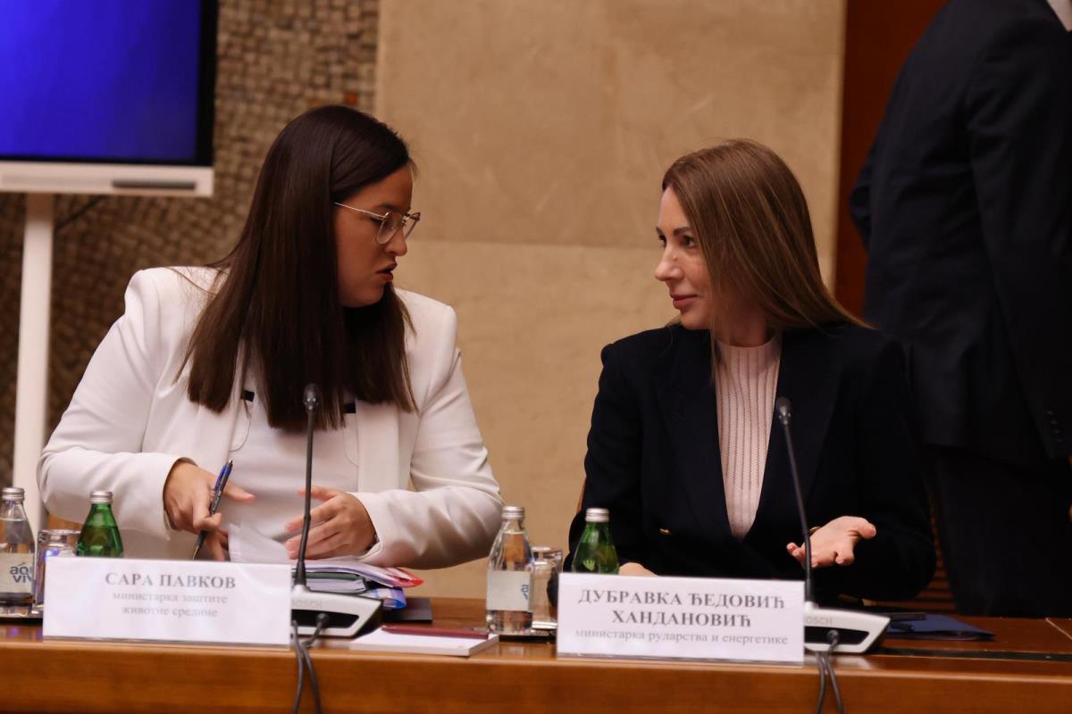 tematska sednica Vlade Aleksandar Vučić (9).jpeg